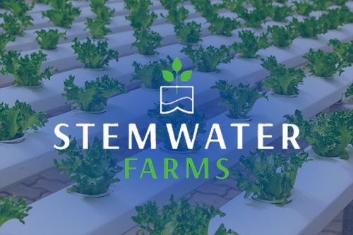 Stemwater farms with Interakt